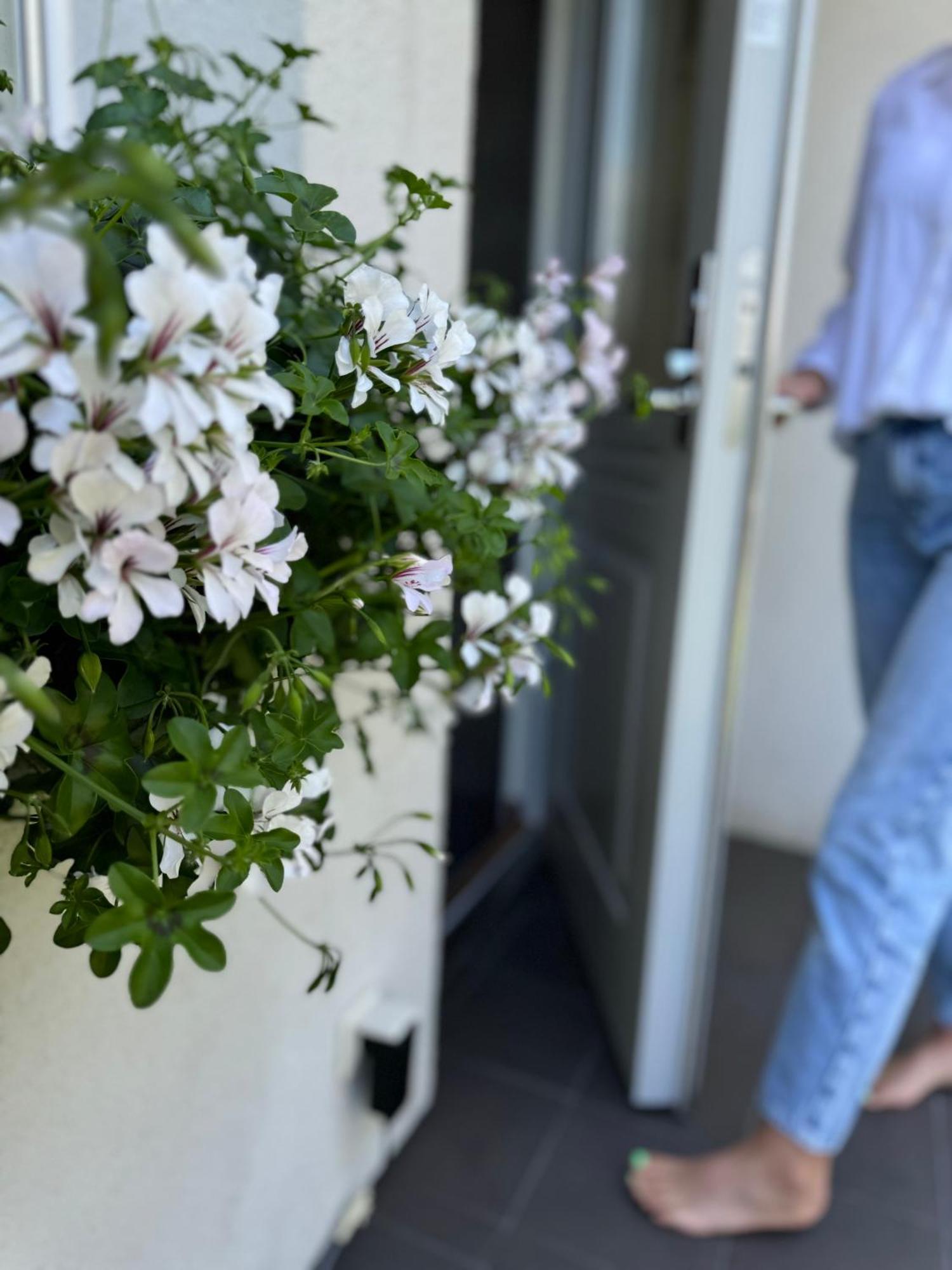 Guest House "8 Smilgos" クライペダ エクステリア 写真