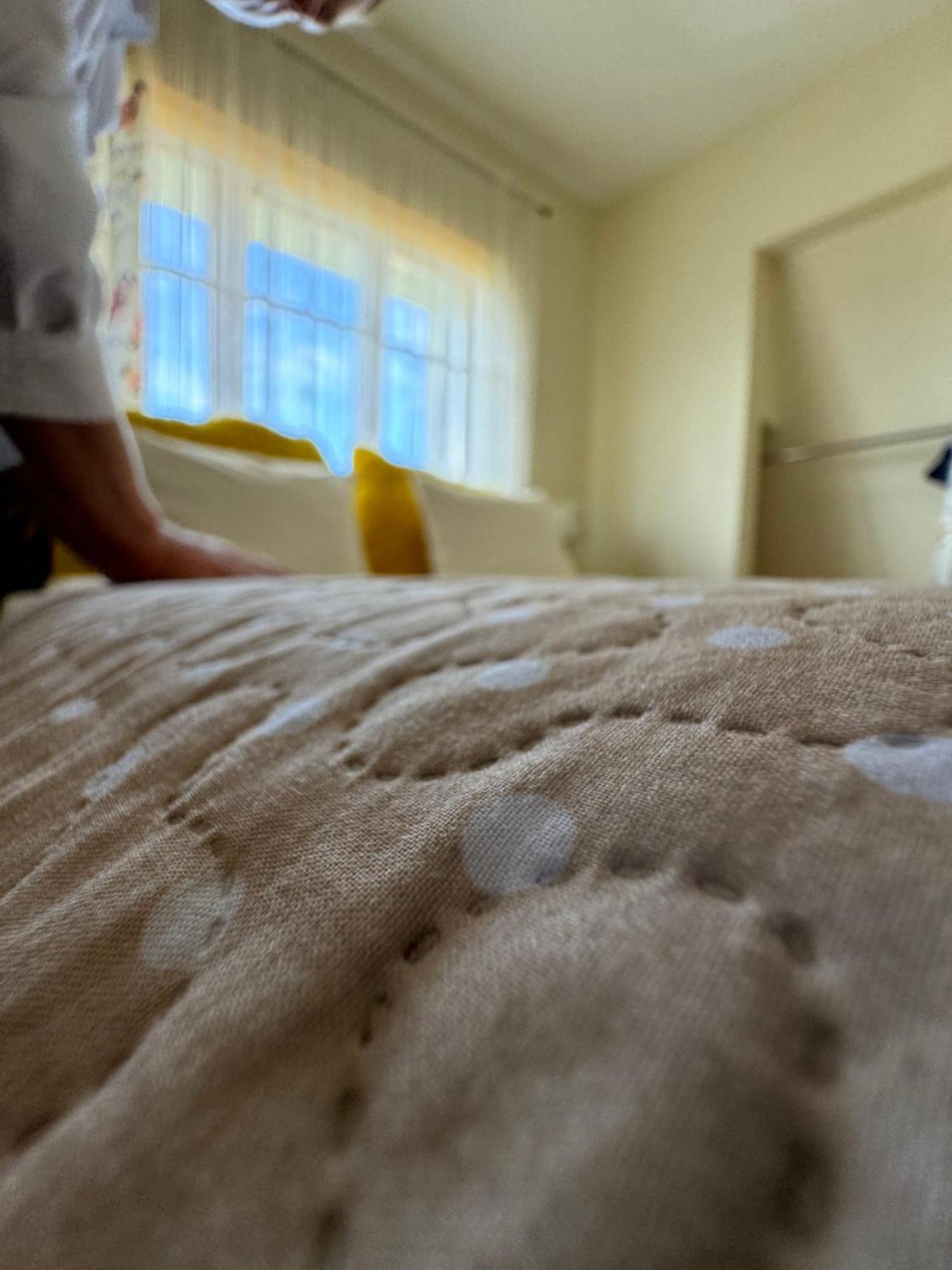 Guest House "8 Smilgos" クライペダ エクステリア 写真